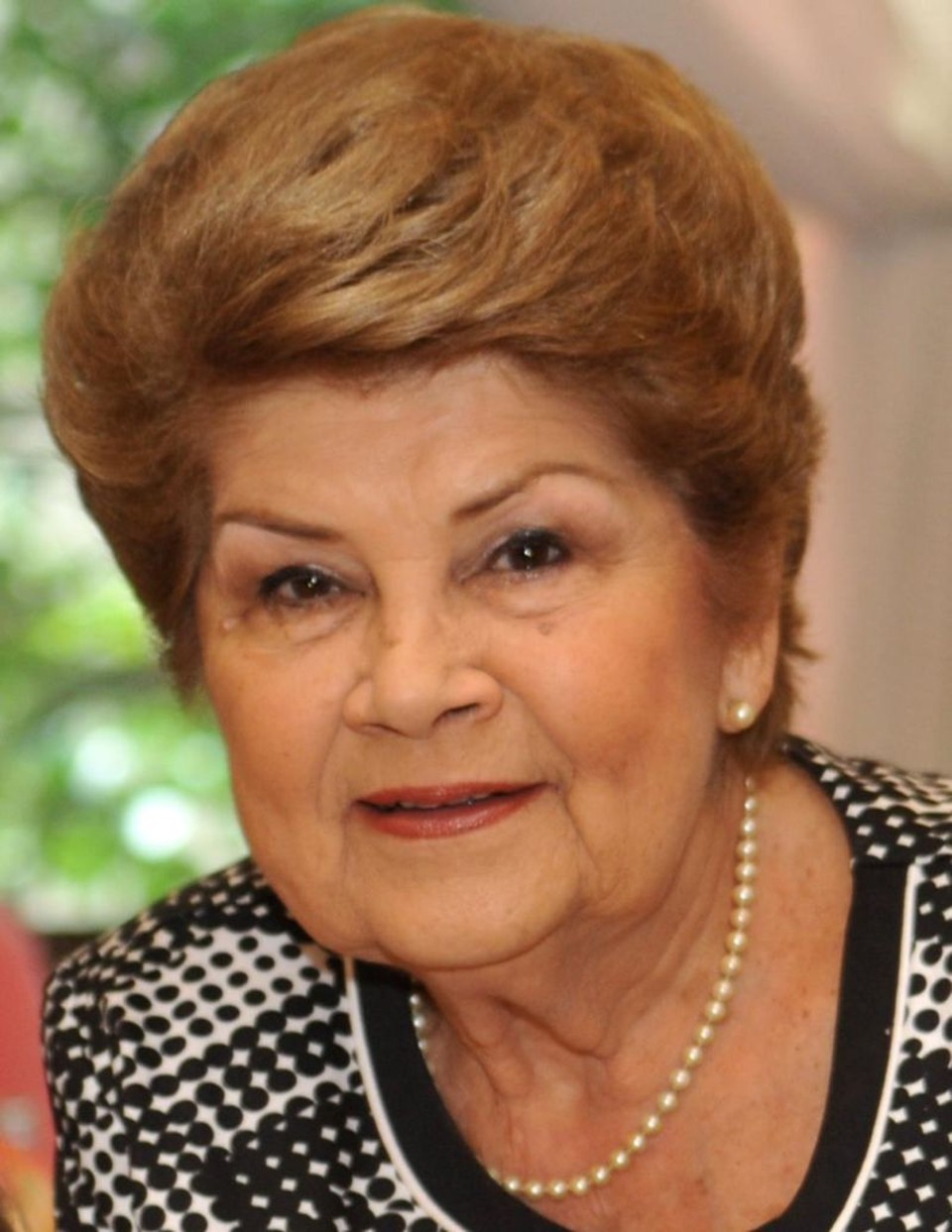  | Arquivo da família