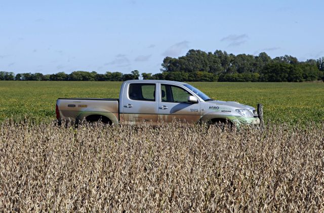| Christian Rizzi/gazeta Do Povo