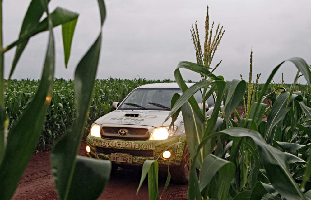 | Christian Rizzi / Gazeta Do Povo