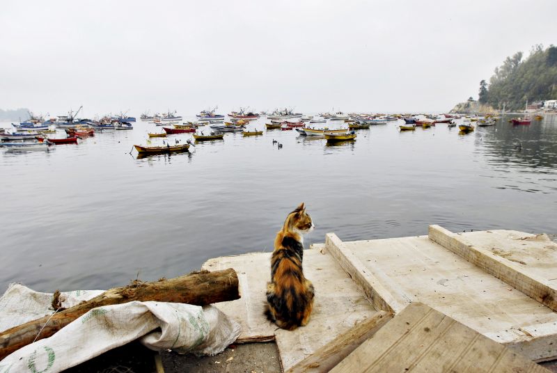 | Jose Luis Saavedra/Reuteers