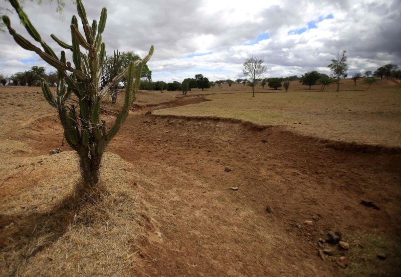Seca é a mais grave dos últimos 50 anos | Ricardo Moraes/Reuters