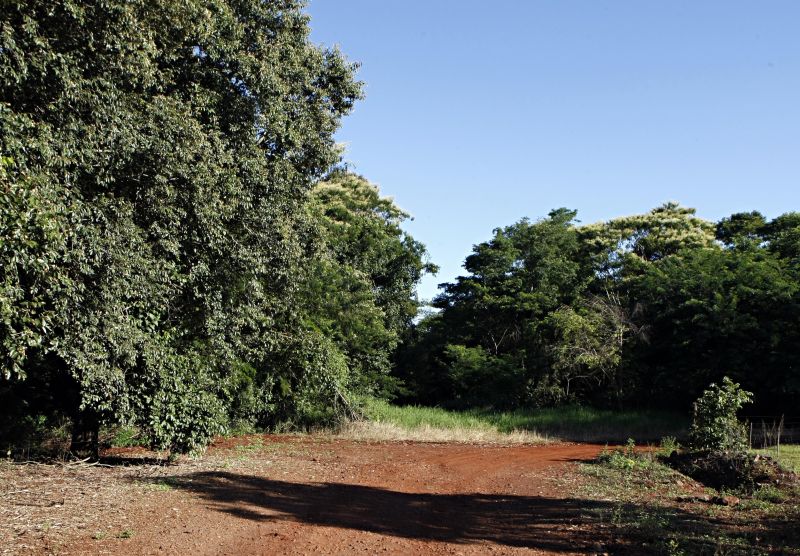 Ínicio da estrada no município de Serranópolis da Iguaçu | Christian Rizzi/ Gazeta do Povo