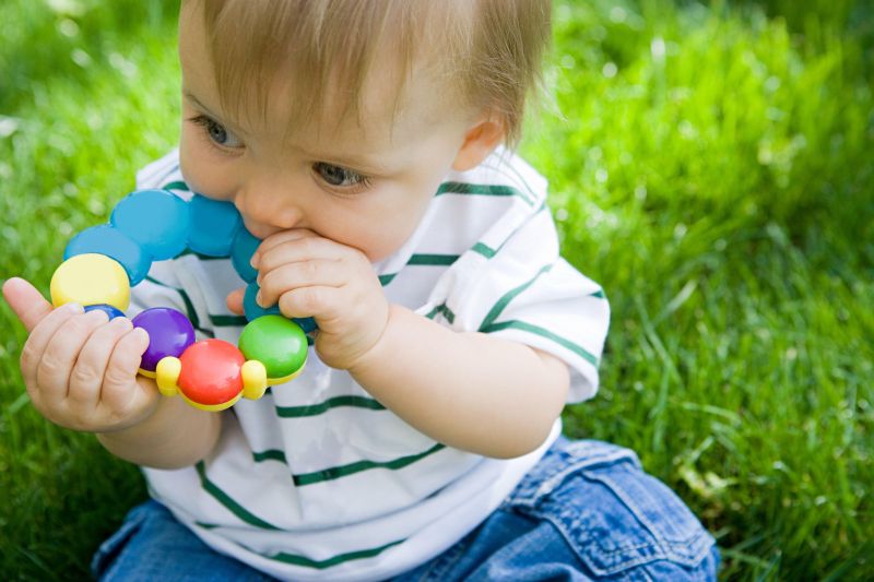 Nascimento dos primeiros dentes coincide com o período de descobertas que Freud chama de fase oral: mordidas tendem a desaparecer com o amadurecimento da criança | Charles Gullung/ Folhapress