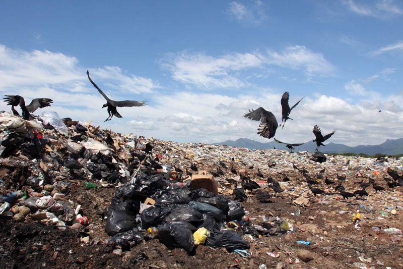 Conforme levantamento, a quantidade de criadouros em pneus e vasos de plantas é menor do que nos depósitos de lixo do estado, o que mostra a ligação entre questões ambientais e de saúde | Walter Alves/ Gazeta do Povo