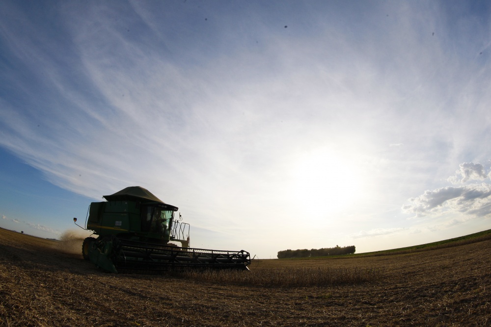 Em alguns estados produtores do Brasil, colheita de verão já está na reta final. | Hugo Harada / Gazeta Do Povo