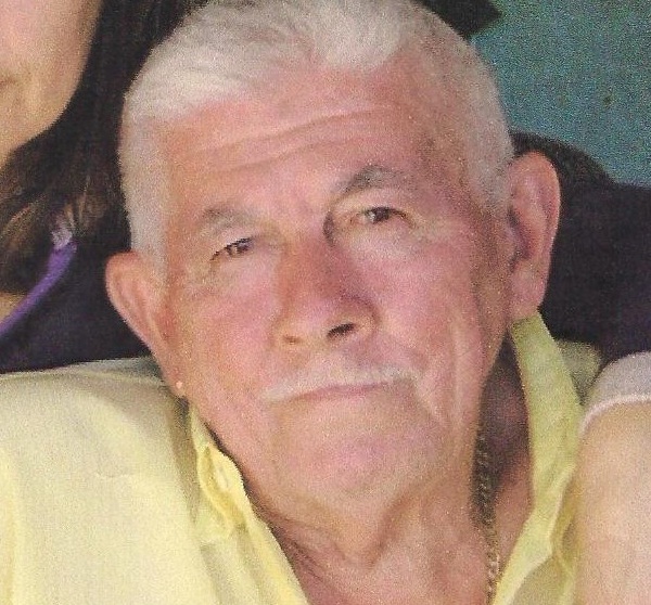 | Arquivo da família