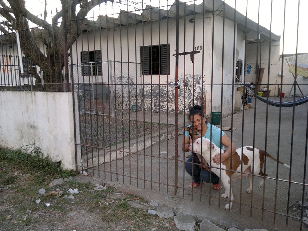 Segundo Inês, o cachorro que mordeu a idosa - e acabou sendo morto - não era violento. Na foto, ela acaricia o outro pitbull da casa | Patricia Pereira / Gazeta do Povo