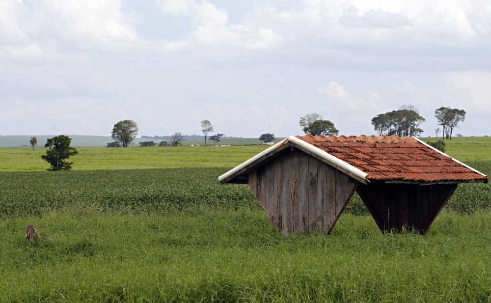  | Christian Rizzi/gazeta Do Povo
