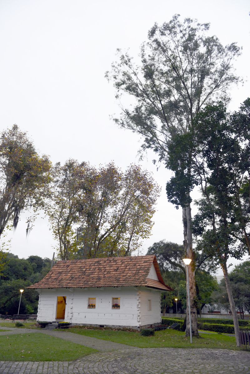 Plátanos e eucaliptos, espécies exóticas, fazem parte da paisagem do Bosque do Papa, em Curitiba | Henry Milleo/ Gazeta do Povo