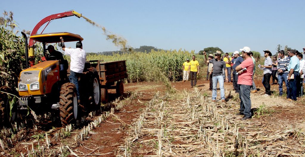 | Divulgação Agrishow/Ofício da Imagem