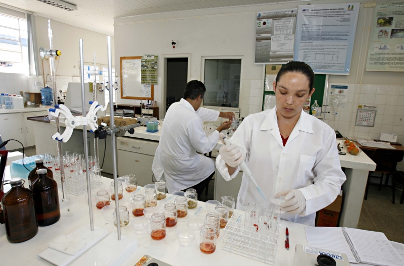 | Josué Teixeira/Gazeta do Povo