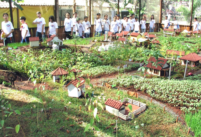 | Andy Iore/arquivo/gazeta Do Povo