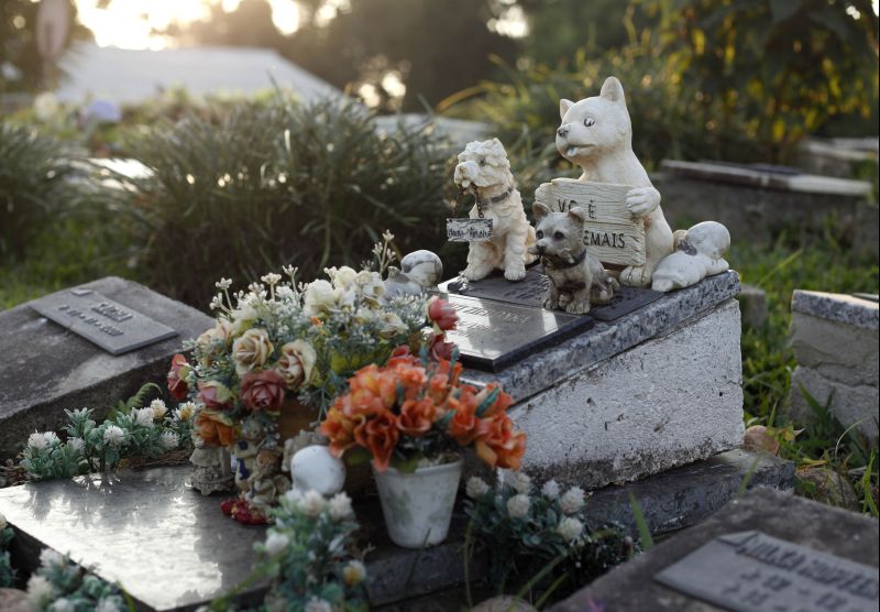 No cemitério Jardim do Bom Amigo, o dono pode enterrar o animal com direito a frase e fotografia no túmulo | Andre Rodrigues/ Gazeta do Povo