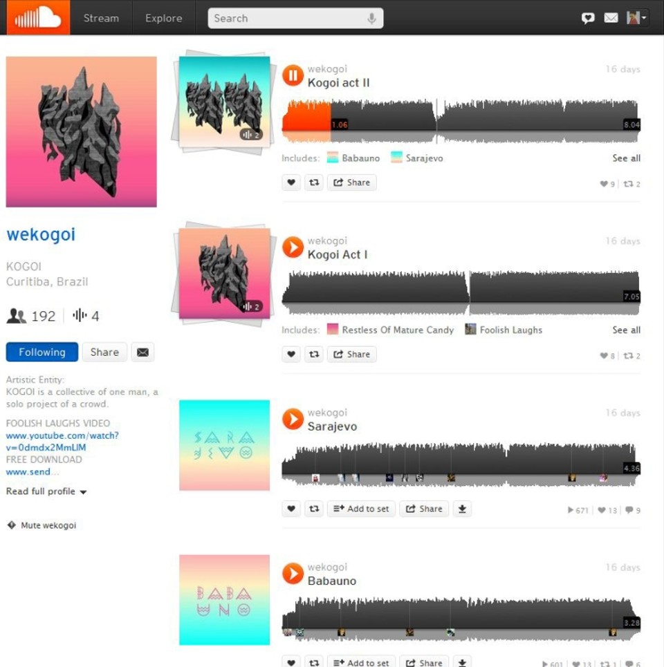 Print-screen da página do wekogoi na internet | Divulgação