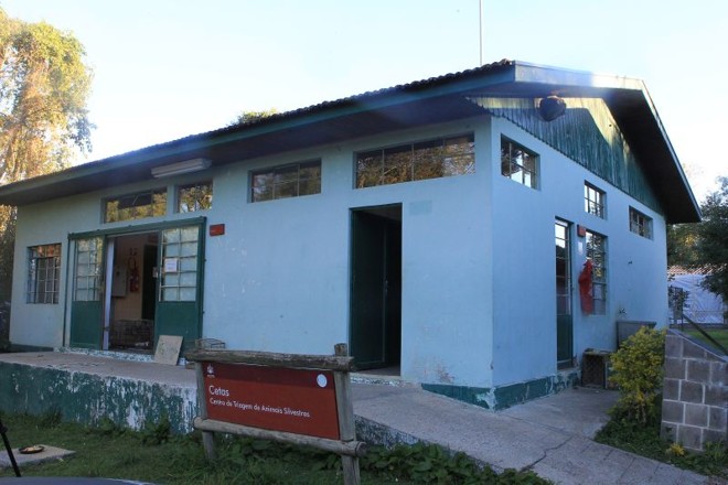 A clínica veterinária do Centro de Triagem atende dezenas de animais maltratados | 