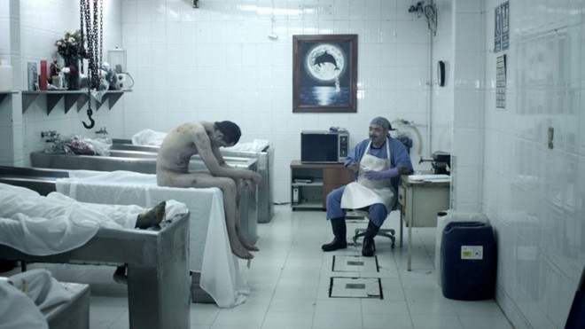 O mexicano Halley: terror independente |