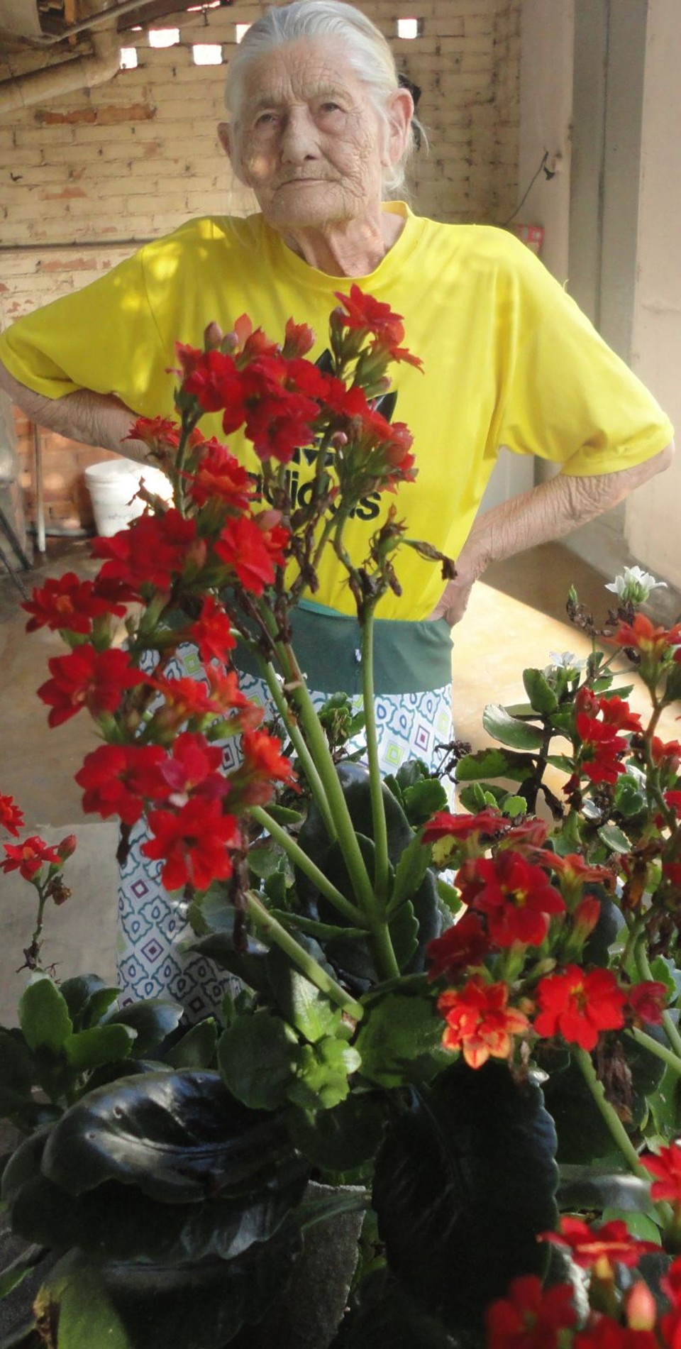  | Arquivo de família