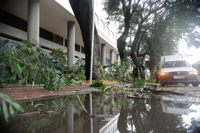 A Comlurb (Companhia Municipal de Limpeza Urbana) afirmou na tarde desta segunda que foram registradas 99 quedas de árvores após o temporal | 