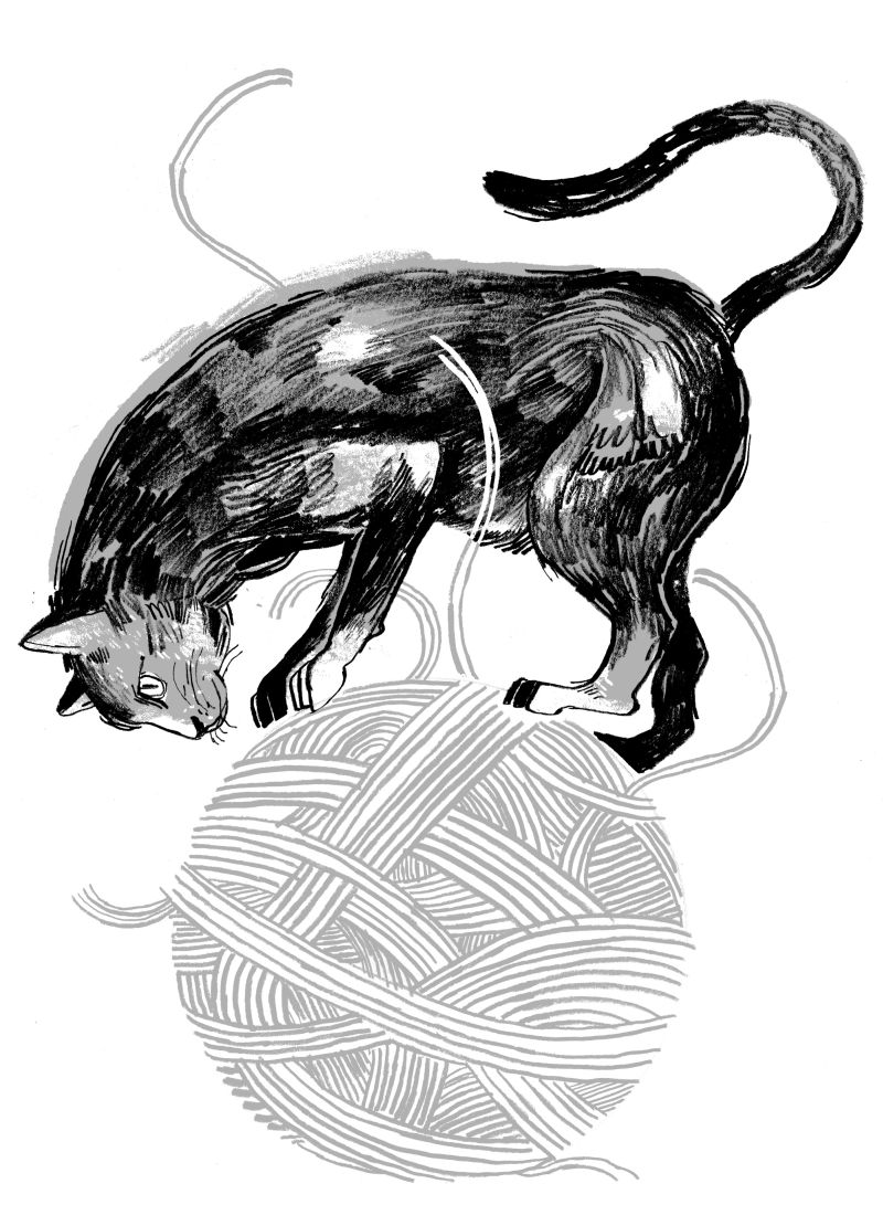 | Ilustração: Felipe Lima