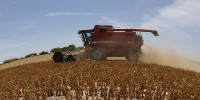 Lavoura rala na Bahia rendeu um terço do previsto | Hugo Harada/gazeta Do Povo