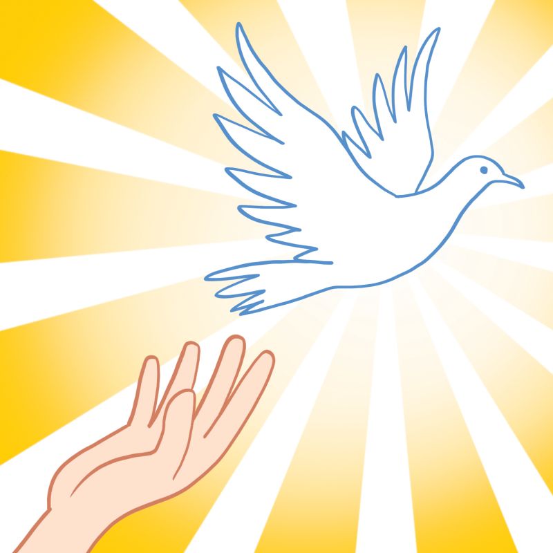  | Ilustração: Gilberto Yamamoto