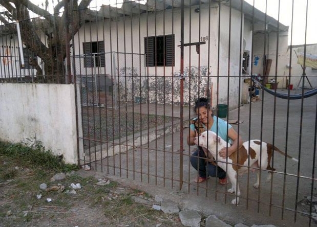 Inês acaricia seu outro pitbull | Patrícia Pereira/Gazeta do Povo