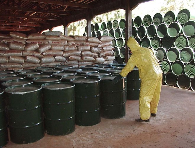 Produtos foram recolhidos na última década em volume bem maior que o previsto. | Foto: Antonio Roberto/gazeta Do Povo
