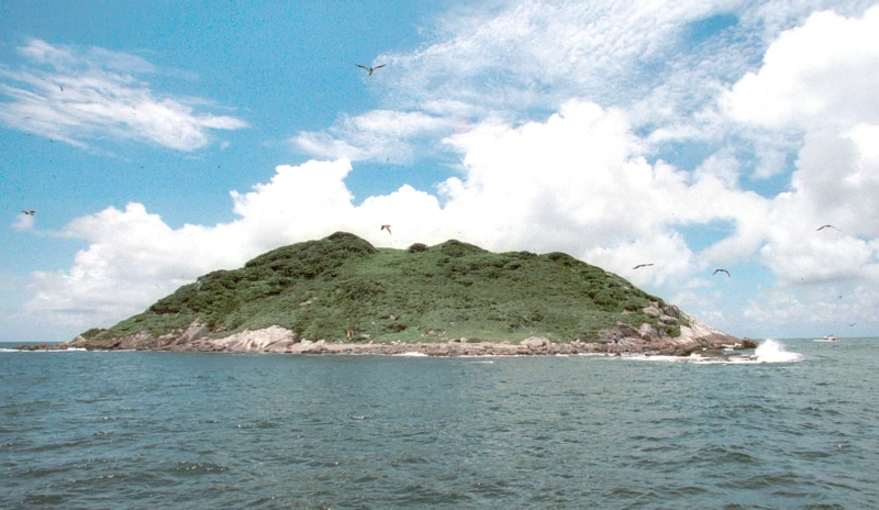 Paraná deve ganhar o primeiro parque em ambiente marinho | Pedro Serápio/Gazeta do Povo