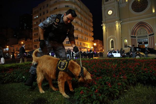Agentes da Guarda Municipal utilizaram cães farejadores para procurar drogas em praças da capital paranaense | Prefeitura de Curitiba / Divulgação