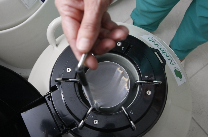 Nova resolução prevê que apenas embriões congelados há pelo menos três anos podem ser doados para pesquisa | Daniel Castellano / Gazeta do Povo