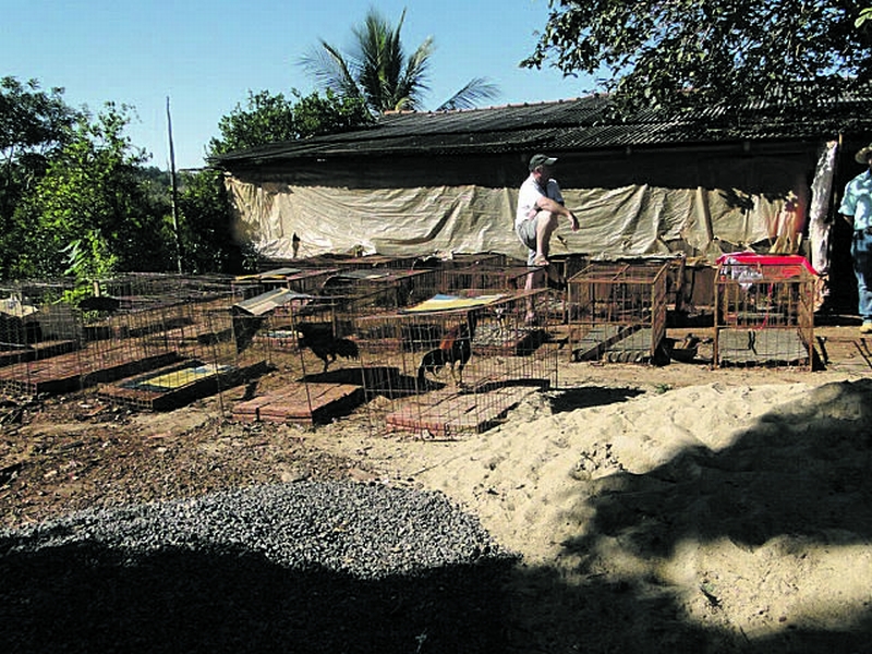 | Divulgação/Polícia Civil