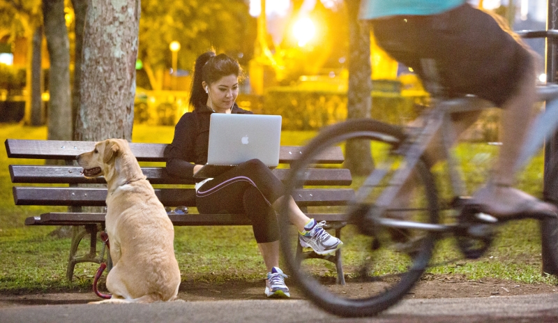 Usuária usa computador portátil no parque Barigui: conexão ruim | Brunno Covello/Gazeta do Povo