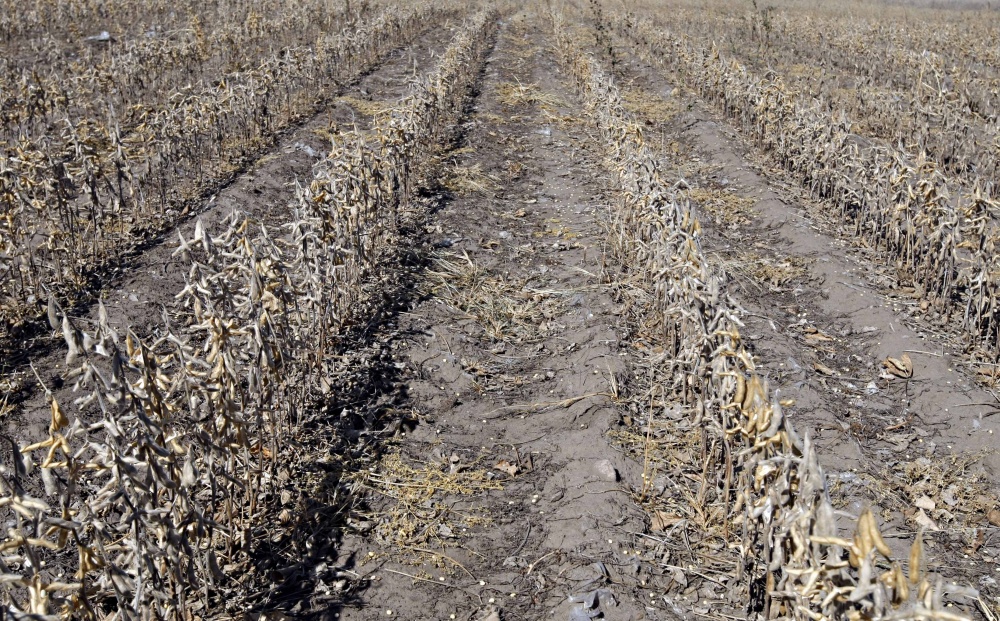 Seca e calor extremos derreteram cerca de 10 milhões de toneladas de soja nos Estados Unidos no ano passado. Quebra no milho foi ainda maior e se aproximou de 100 milhões de toneladas. | Christian Rizzi / Gazeta Do Povo