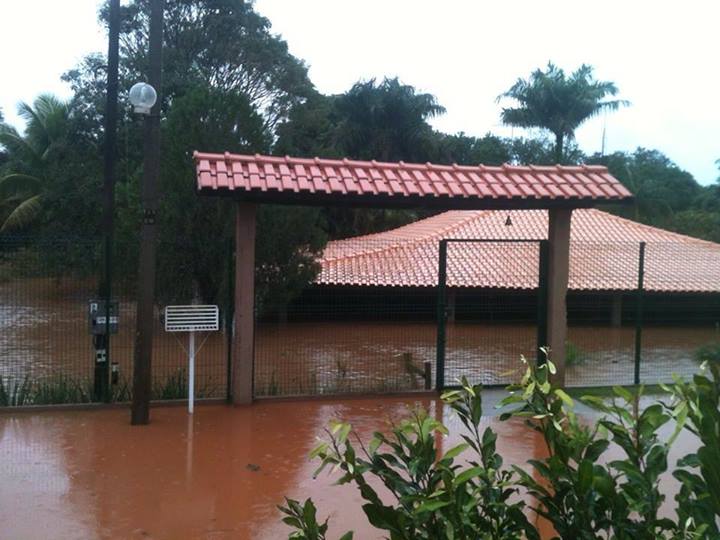 A área da casa fica a 150 metros da margem do Rio Ivaí, mas mesmo assim foi atingida e a água quase chegou no telhado | Arquivo Pessoal / Michele Tauscheck