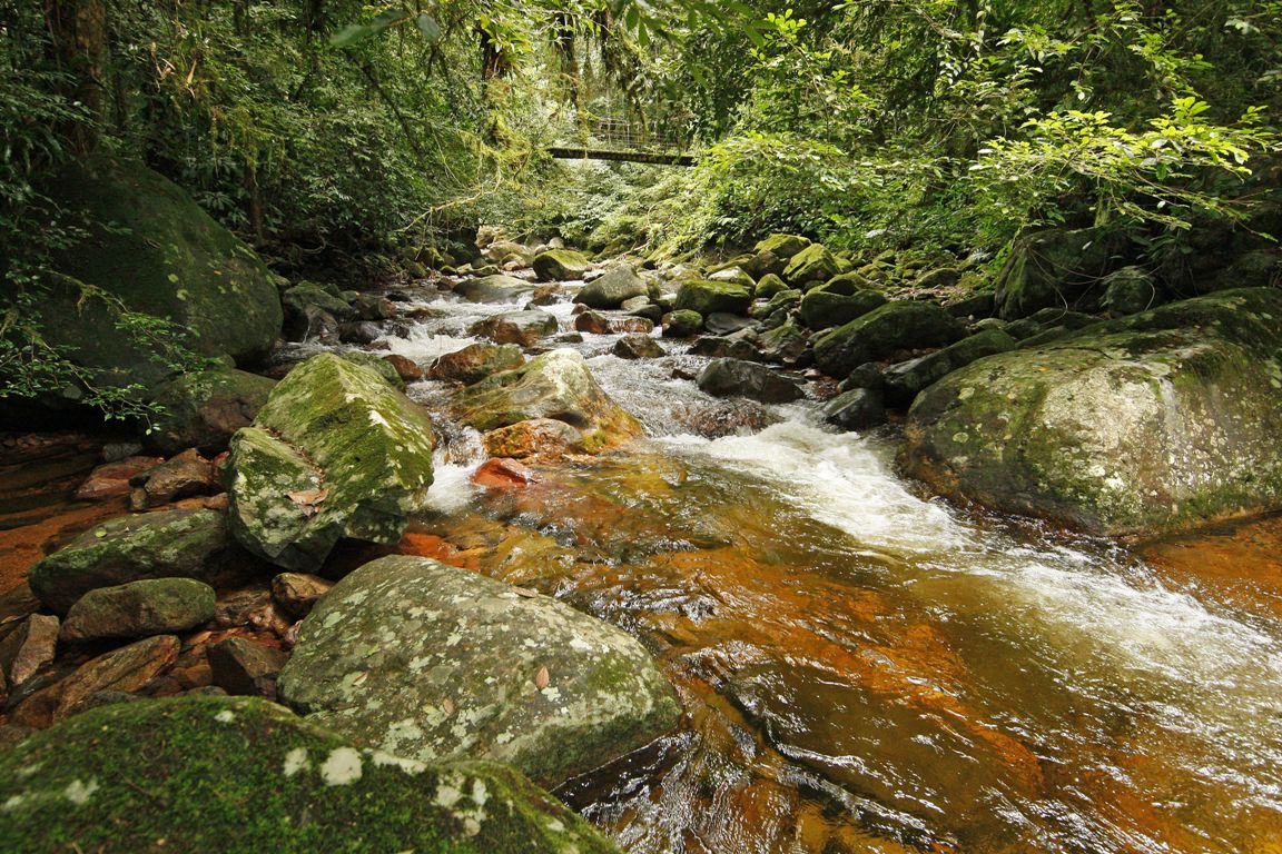 . | Antonio More / Gazeta do Povo