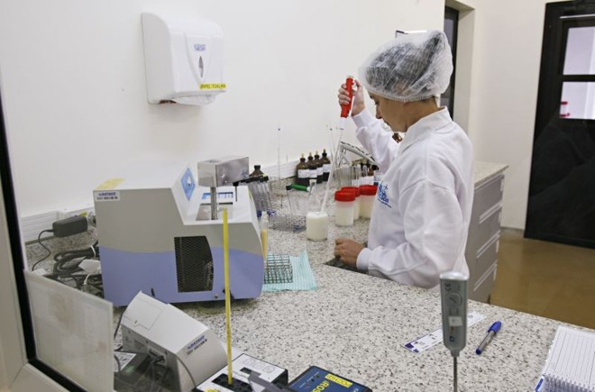 Empresas de laticínios verificam qualidade de amostras de leite antes de o produto ser descarregado | Josue Teixeira / Gazeta do Povo