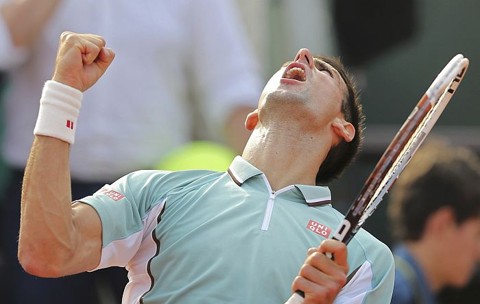 Djokovic e Nadal se enfrentam na semifinal em Paris Novak Djokovic comemora vitória sobre Tommy Haas | Stephane Mahe / Reuters