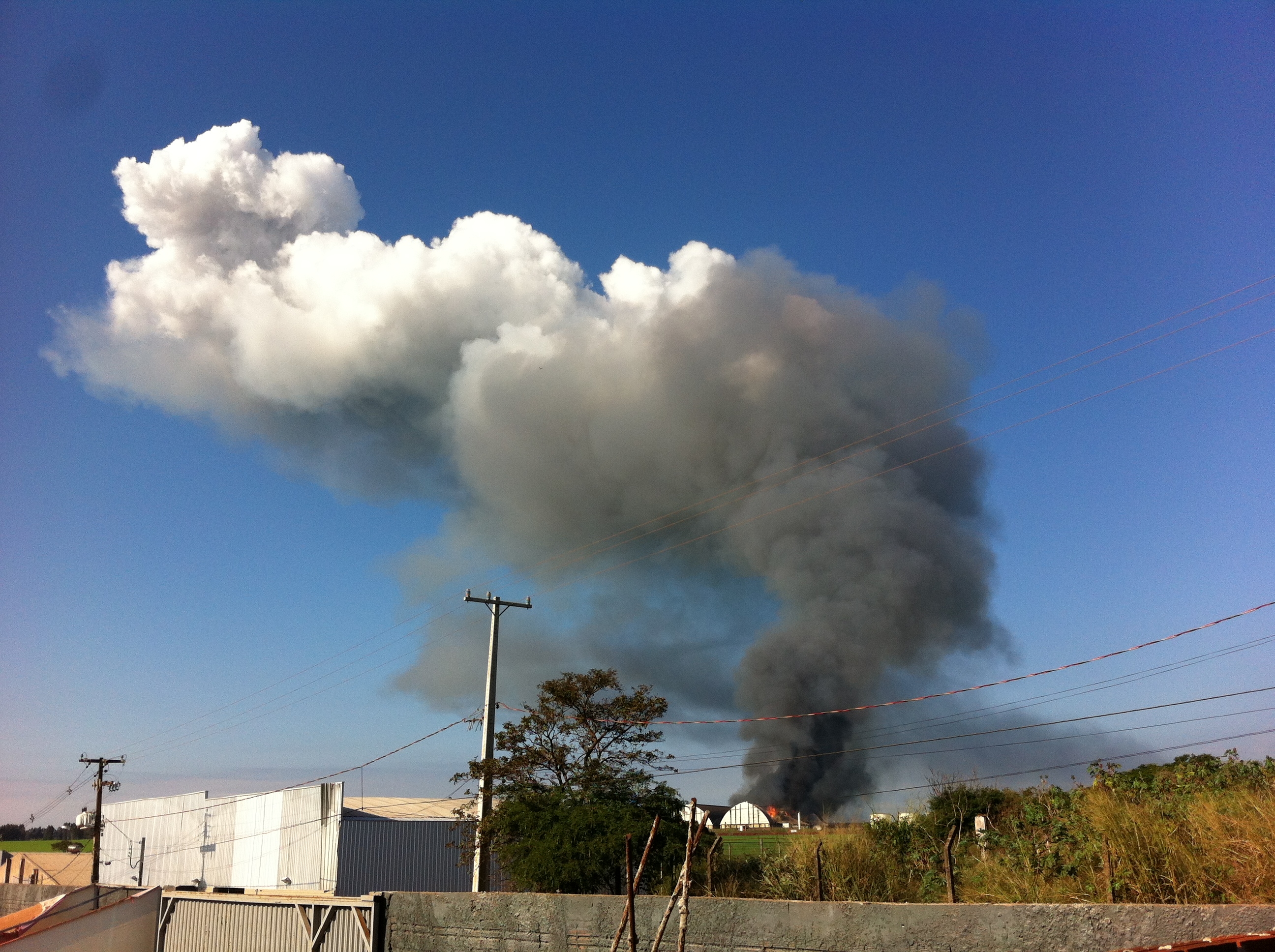  | Foto da leitora Jenifer Bevilaqua