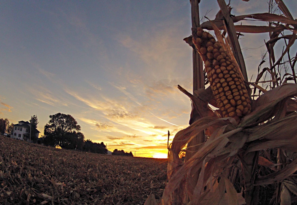 | Christian Rizzi/gazeta Do Povo