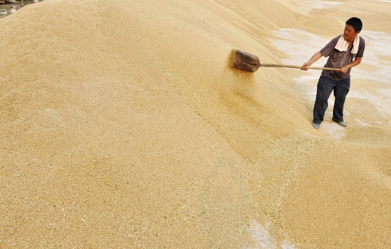 Na China(foto)e na Europa, produção e consumo se equilibram melhor | China Daily/Reuters