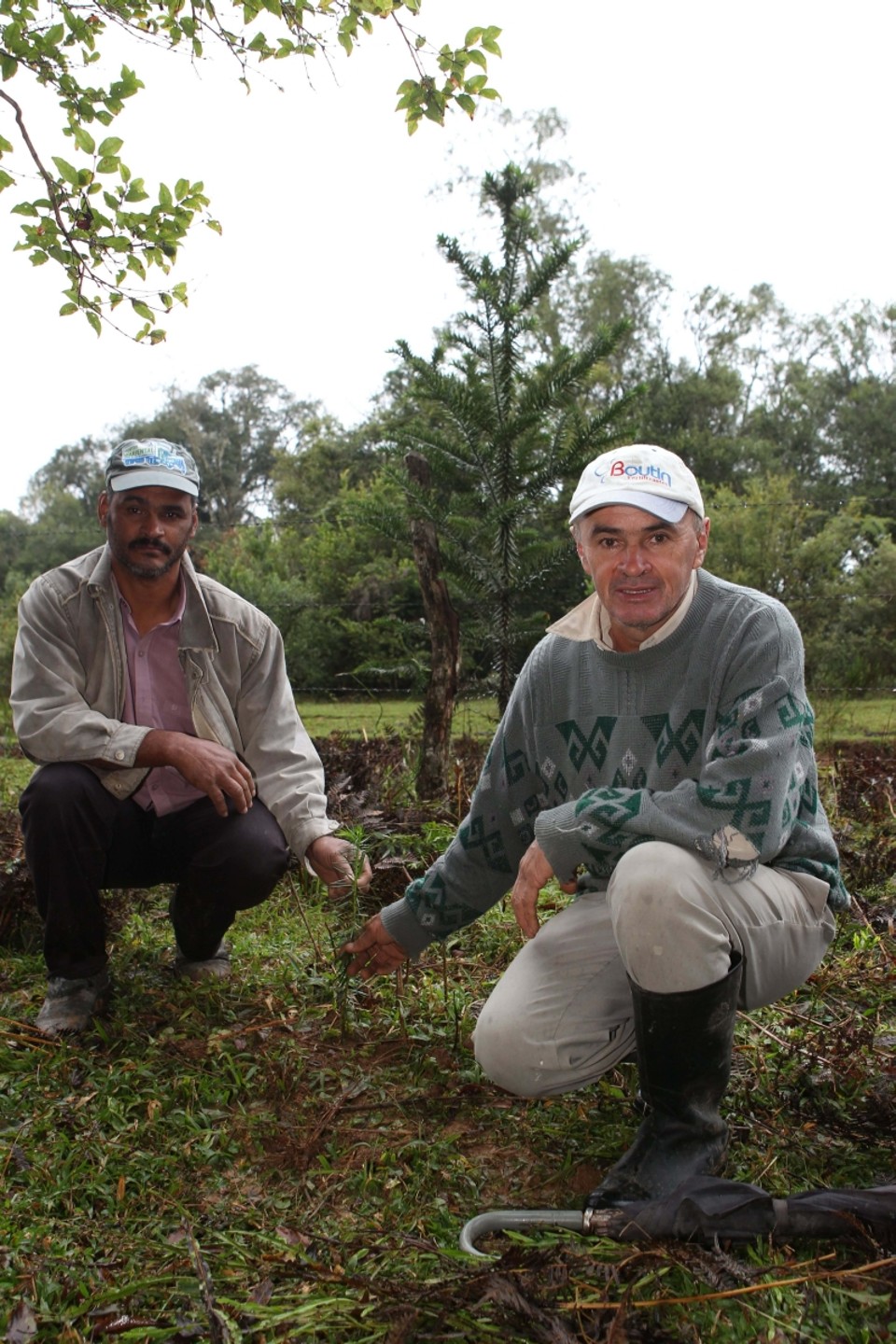 João Martins dos Santos e João Araújo: produtores da região da Lapa participam de projeto | Aniele Nascimento/Gazeta do Povo