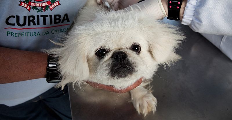 | Brunno Covello/SMCS