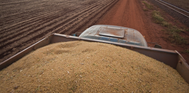 Demanda reprimida por armazéns e expansão do crédito cria ambiente para uma onda de negócios. Empresas do setor querem serviço dobrado | Marcelo Andrade/gazeta Do Povo