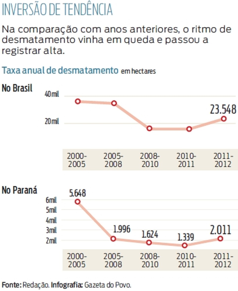 Desmatamento no estado cresceu 53% em um ano |