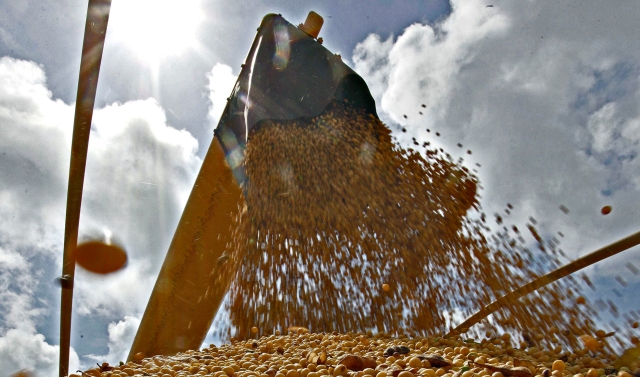 Próxima temporada promete render recorde acima de 185 milhões de toneladas de grãos | Jonathan Campos/gazeta Do Povo