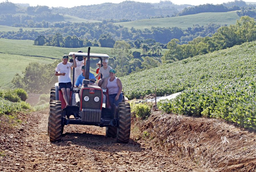 Produtores | Foto: Christian Rizzi/gazeta Do Povo