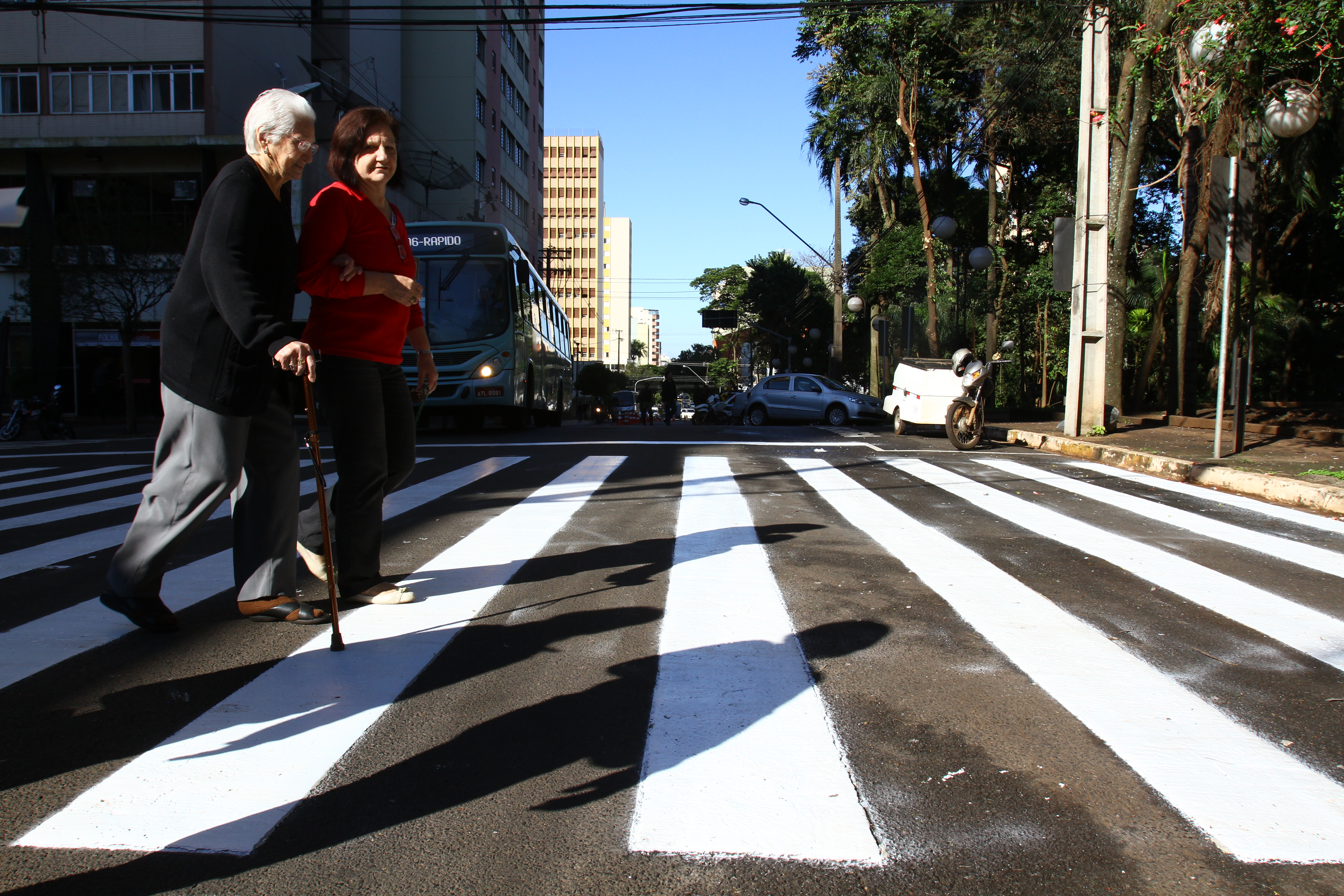 Os dados da PM contabilizam 25 ocorrências nos primeiros cinco meses de 2013, contra 13 atropelamentos no mesmo período do ano passado | Roberto Custódio / JL