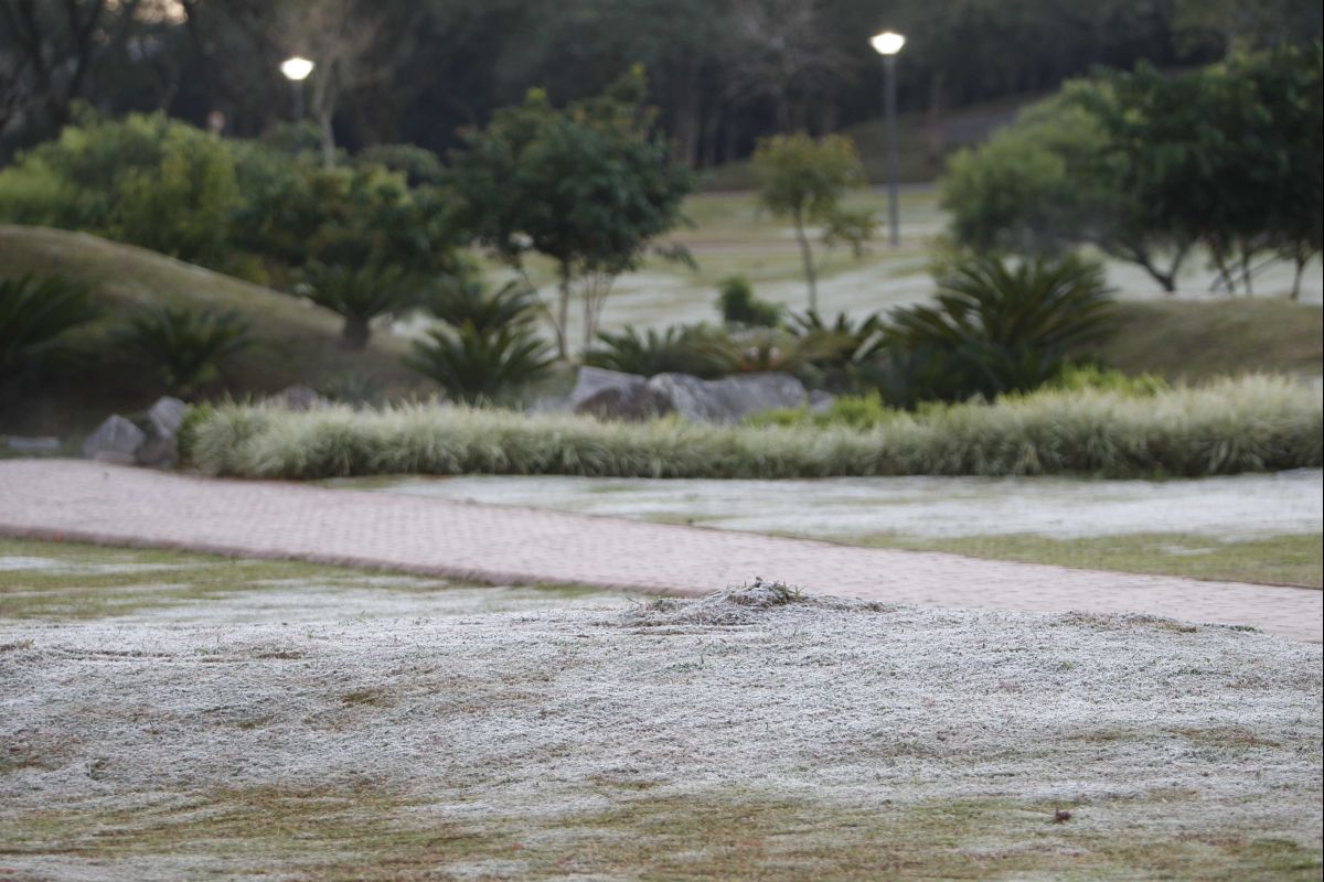 Geadas em Curitiba e região não devem ser tão frequentes quanto no interior do Paraná, prevê o Simepar | Aniele Nascimento/Agência de Notícias Gazeta do Povo