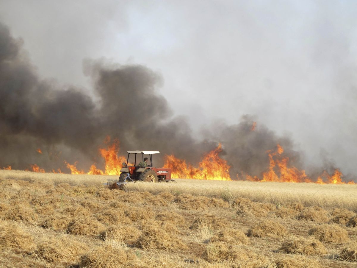 Agricultor sírio tenta colher trigo em campo incendiado por ataques atribuídos a forças leais ao presidente Bashar al-Assad por ativistas | Reuters/Abdalghne Karoof