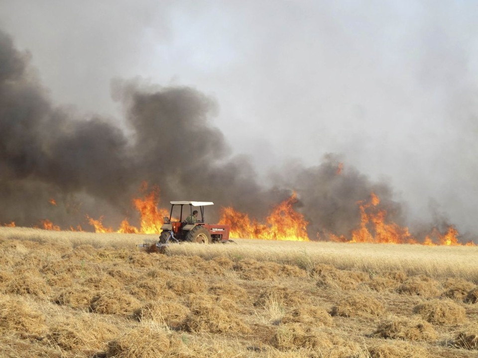 Agricultor sírio tenta colher trigo em campo incendiado por ataques atribuídos a forças leais ao presidente Bashar al-Assad por ativistas | Reuters/Abdalghne Karoof